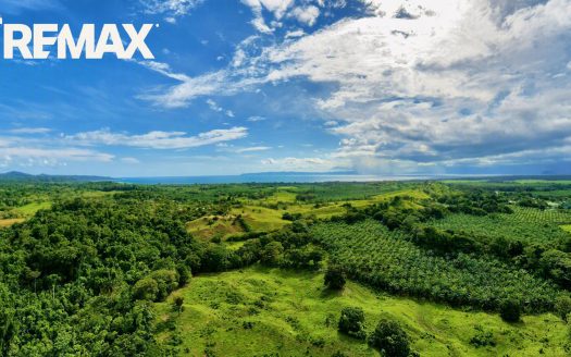 Titled Ocean View Land for Sale in La Virgen, Golfito, Puntarenas – 2.3 Hectares
