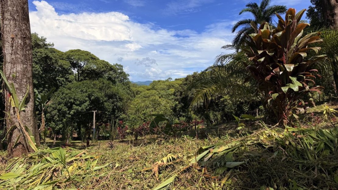 Costa Rica Real Estate