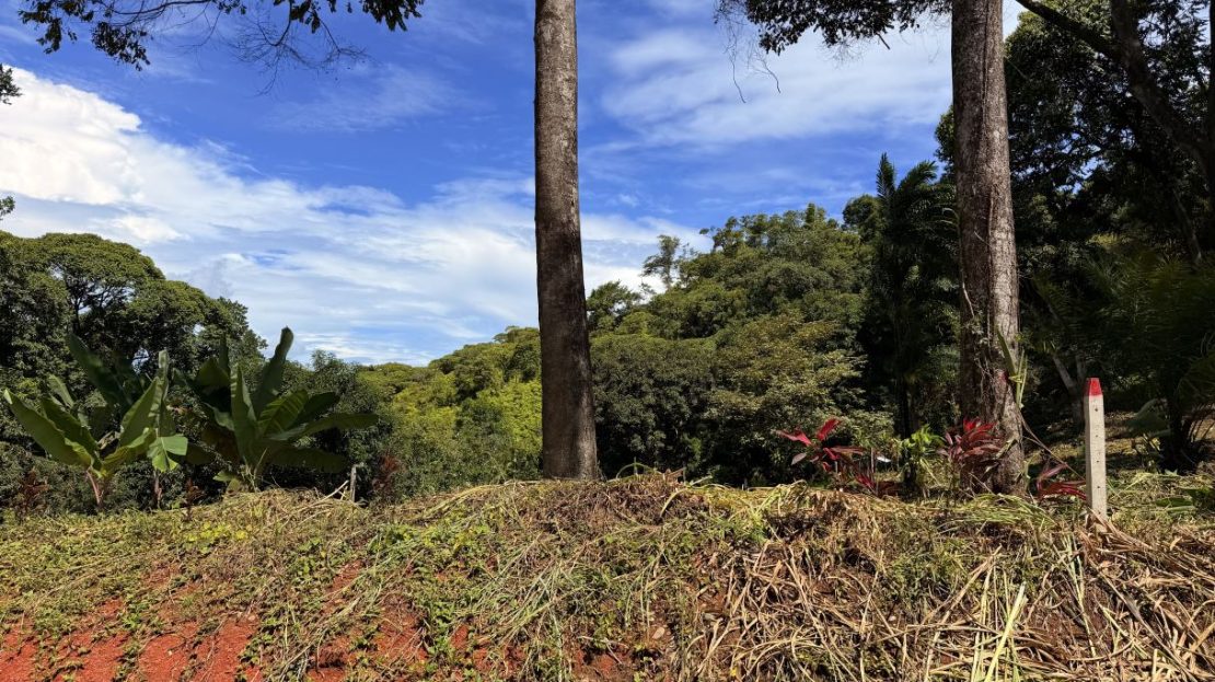 Costa Rica Real Estate