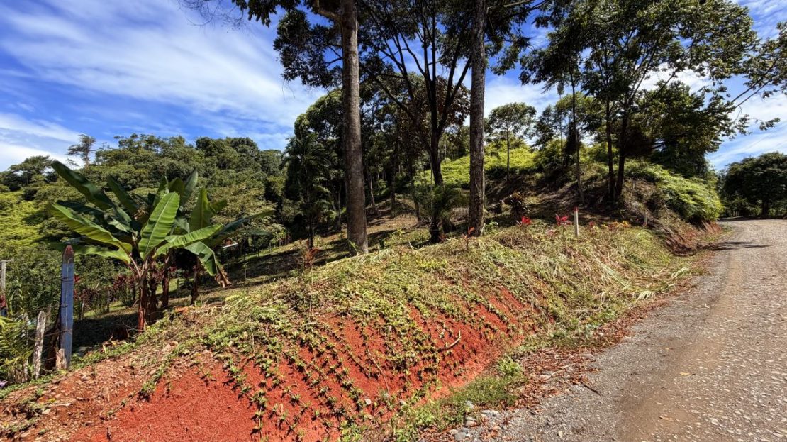 OPPORTUNITY - Serene lot with mountain view