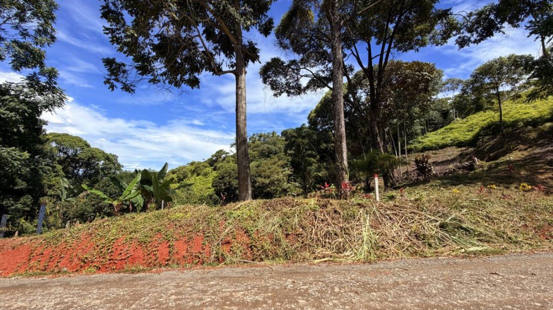 Costa Rica Real Estate