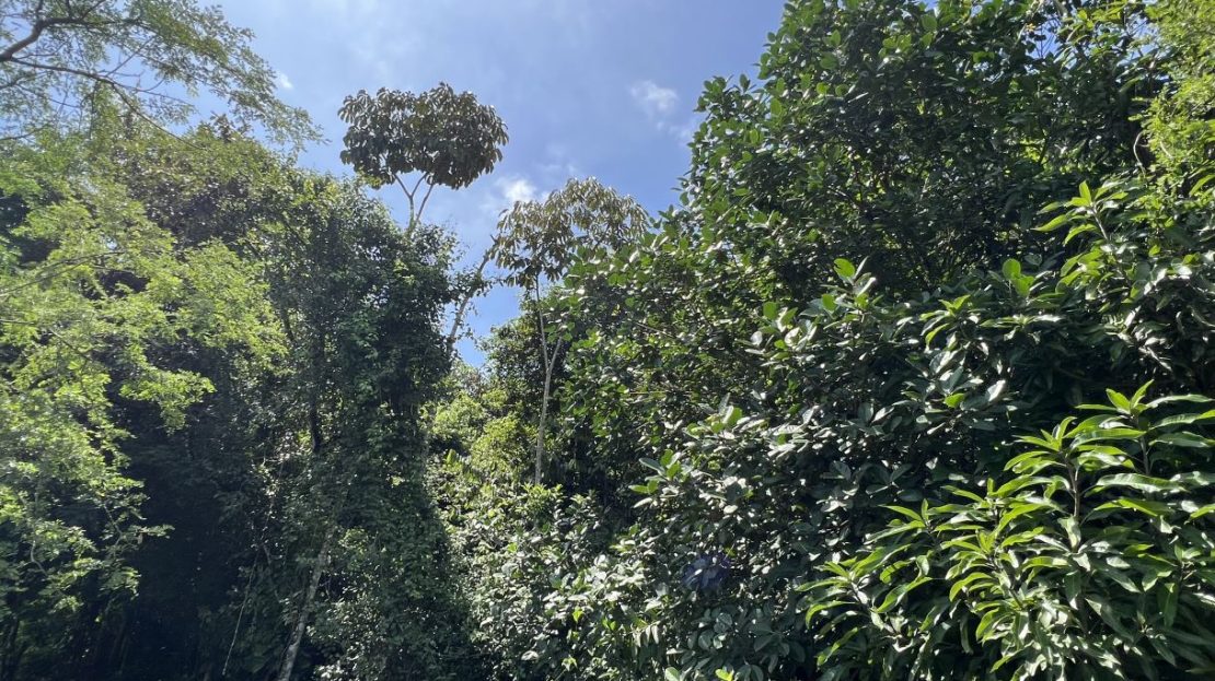 Costa Rica Real Estate