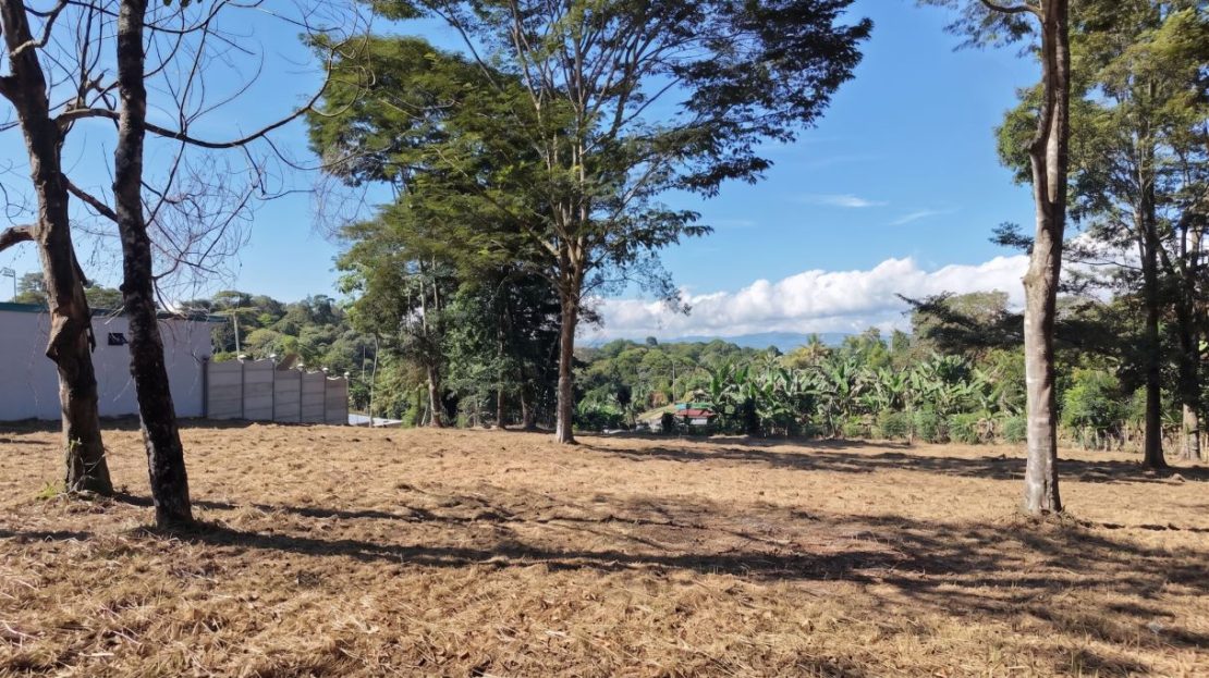 Costa Rica Real Estate