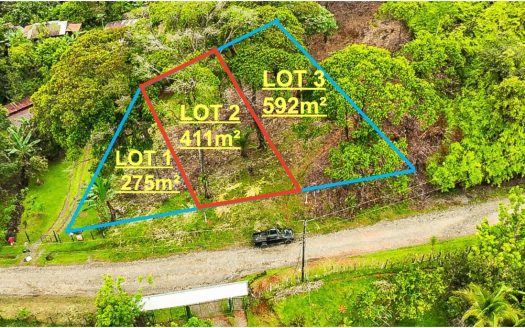 Tropical Lot Near Manuel Antonio with Water & Electricity Available