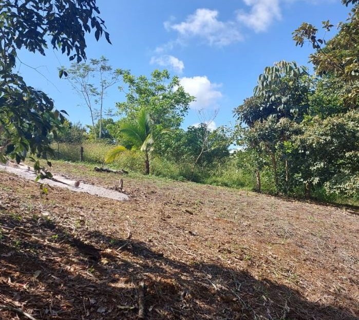 494 m² Lot in Tres Ríos de Volcán