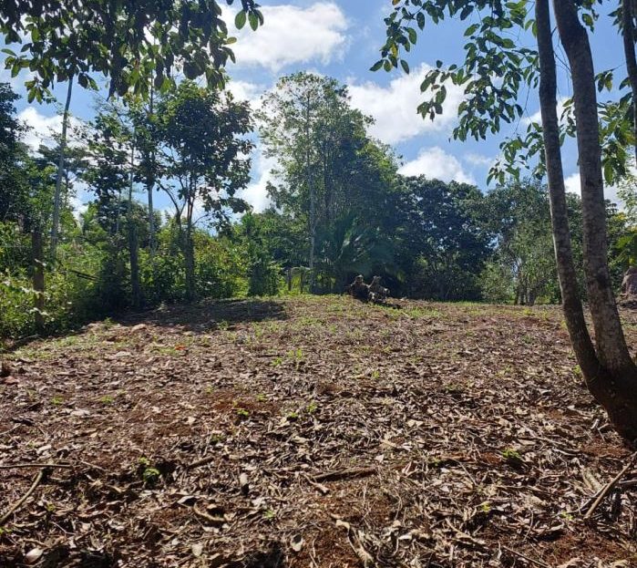 Costa Rica Real Estate