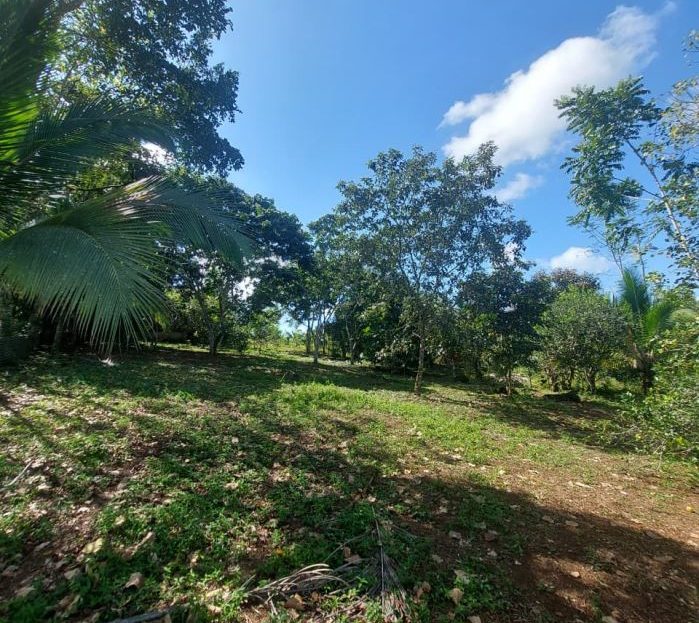 House for Sale with 3