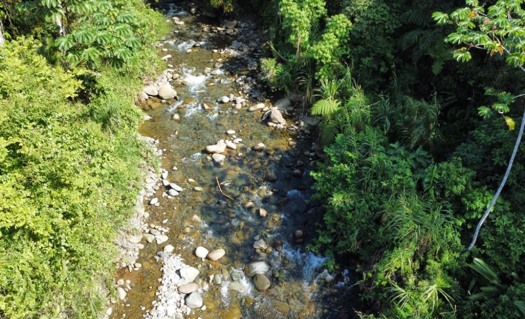 Land for Sale in Convento Perez Zeledon: 1.07-Acre Property with River Frontage and Utilities