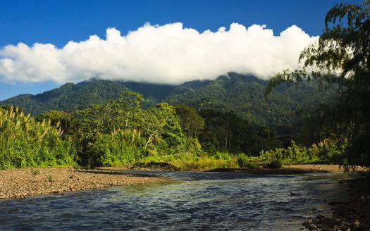 800 Acre River Frontage Master Development Near Manuel  Antonio Costa Rica