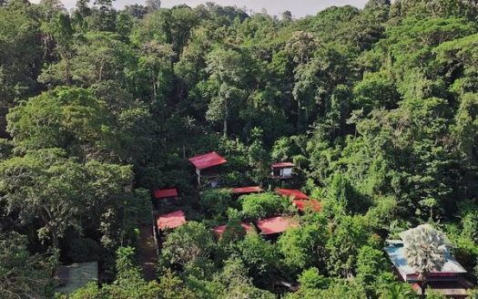 Turnkey Caribbean Retreat Walking distance to the beach for Sale in Punta Uva, Costa Rica