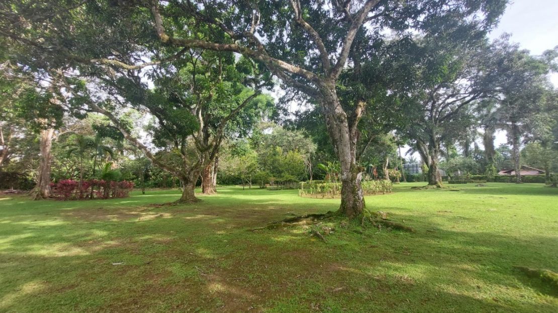 Costa Rica Real Estate