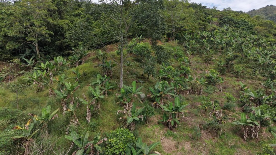 Lot for Sale in Chimirol de Rivas