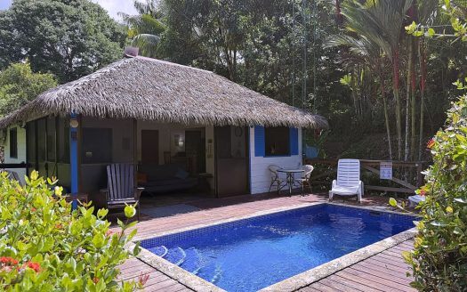 Gorgeous 1-Bedroom Natural Jungle Sanctuary with Private Pool Among the Trees just off Calle Tucan
