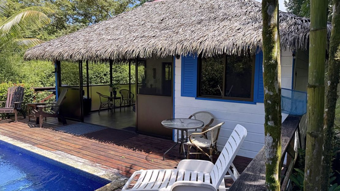 Gorgeous 1-Bedroom Natural Jungle Sanctuary with Private Pool Among the Trees just off Calle Tucan