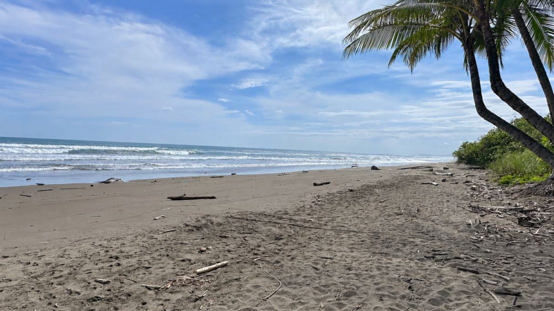 Rare Beachfront Development Opportunity | Playa Matapalo