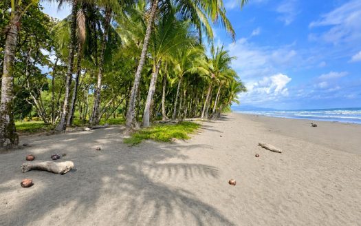 Rare Beachfront Development Opportunity | Playa Matapalo, Costa Rica