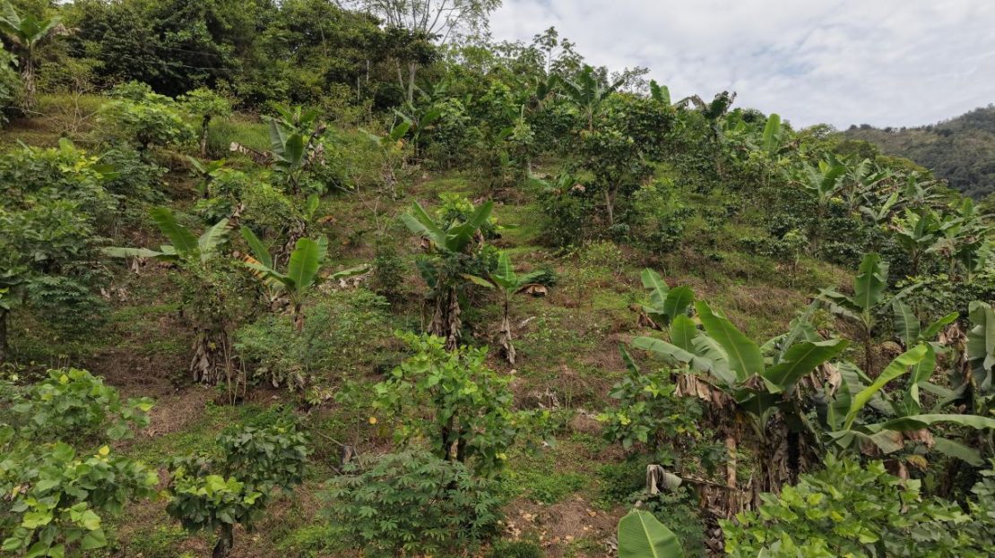 313 m² Land with Mountain Views