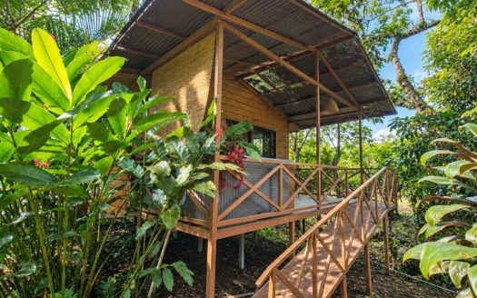 Income-Producing Nature Retreat for sale in Chachagua, La Fortuna