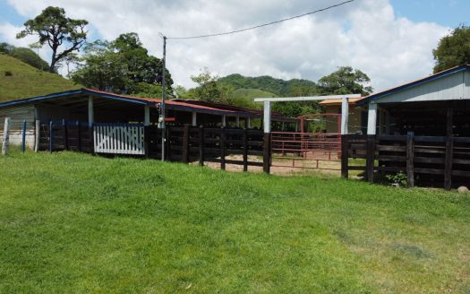 166-Hectare Cattle Ranch with Abundant Water and Complete Infrastructure in Cañas, Guanacaste – Investment Opportunity