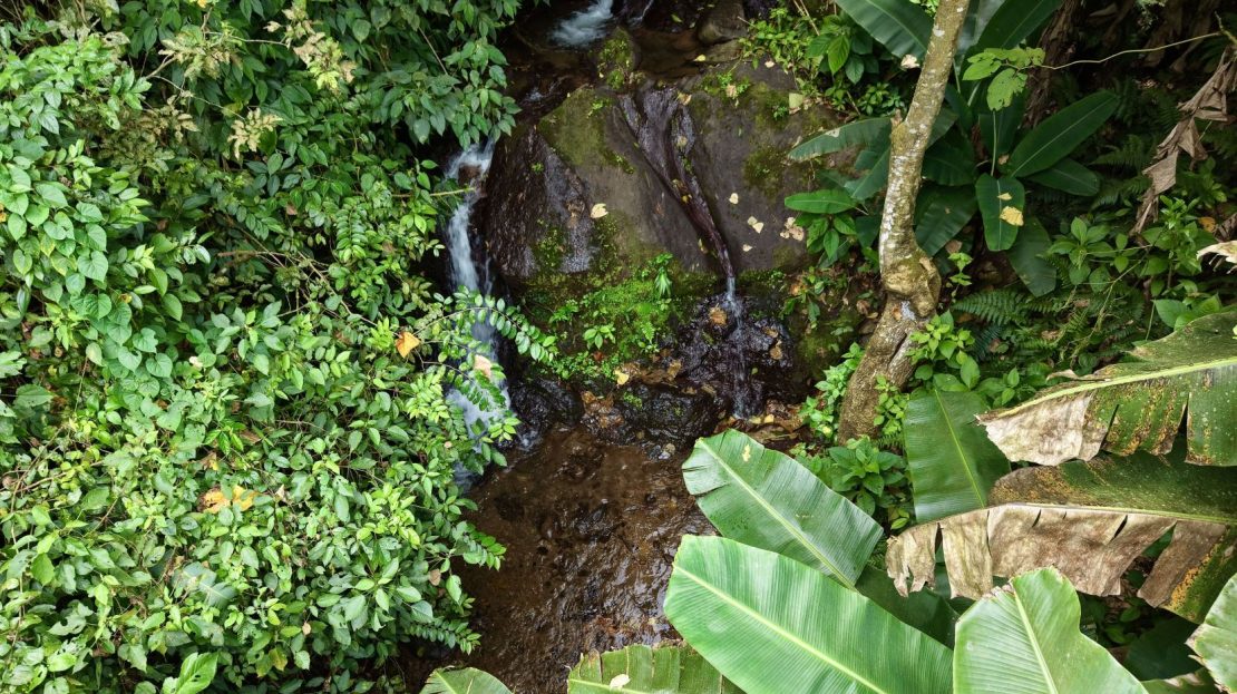 1.4-Hectare Farm for Sale in Pueblo Nuevo de Rivas