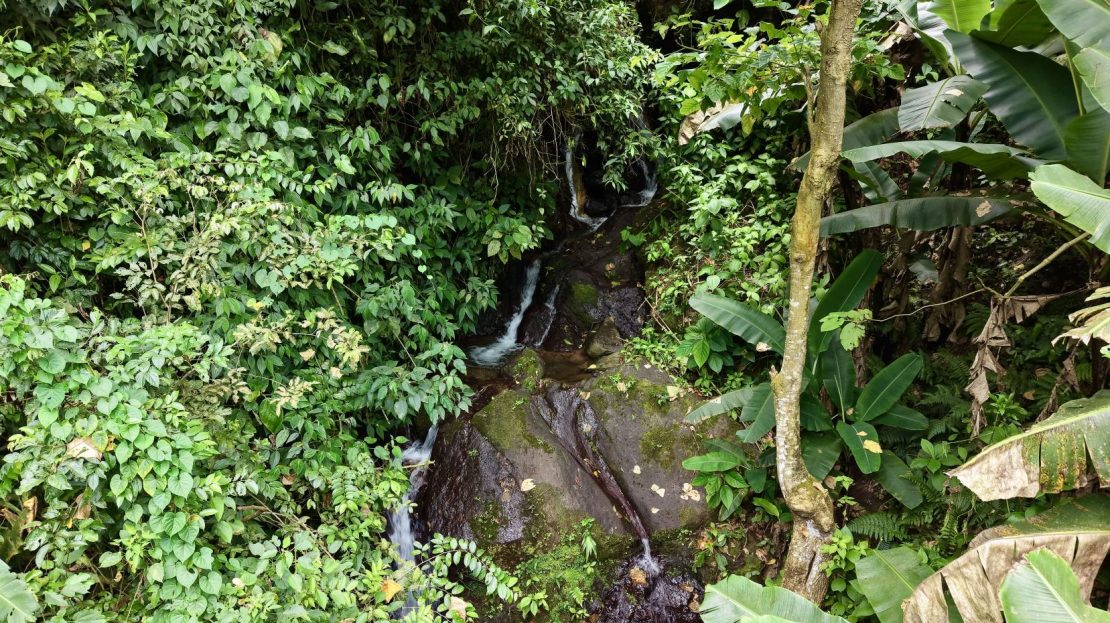 Costa Rica Real Estate