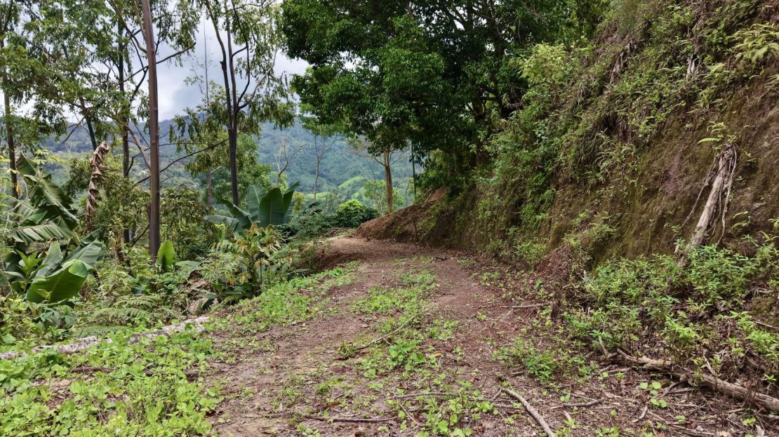 Pérez Zeledón | Private Waterfall & Nature Paradise