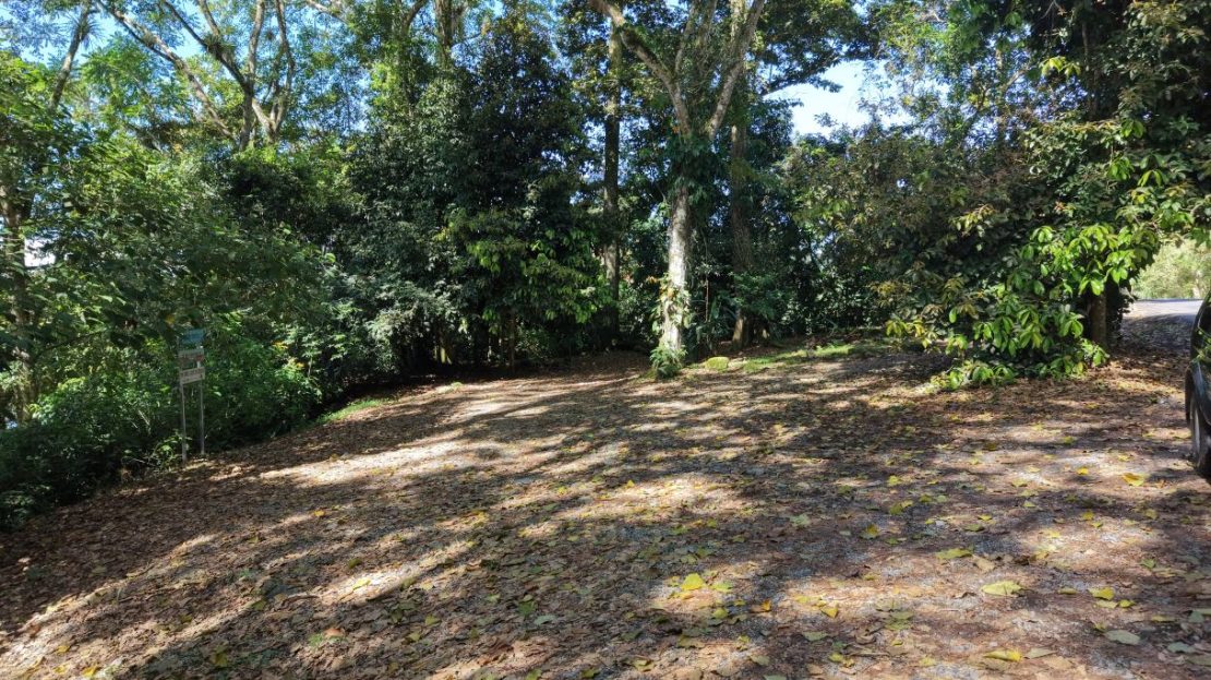 Costa Rica Real Estate