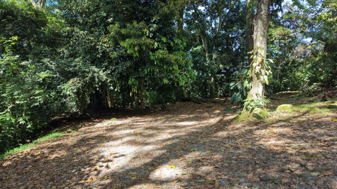 167 m² Land for Sale in Guadalupe de Rivas: Paved Road Access and Chirripó River Frontage H2