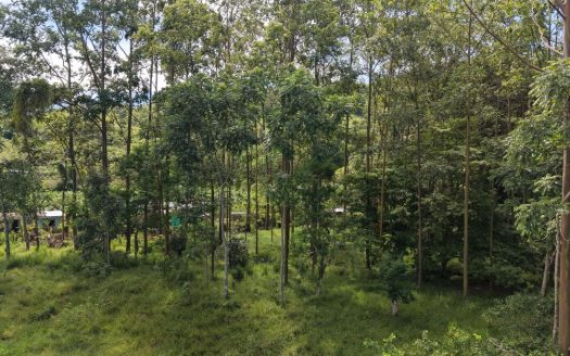 Land for Sale in San Francisco de Rivas: 5.5-Acre Mountain View Parcel with Natural Stream H5