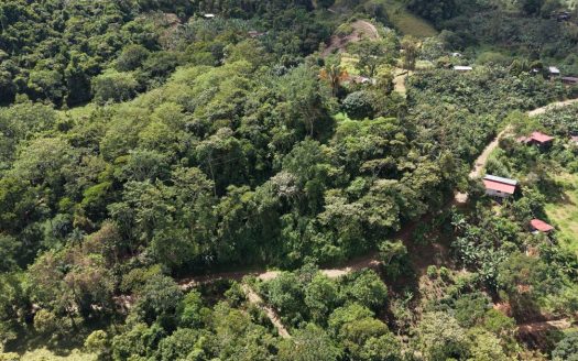 Land for Sale in San Francisco de Rivas: 4-Acre Jungle Parcel Near Chirripó National Park