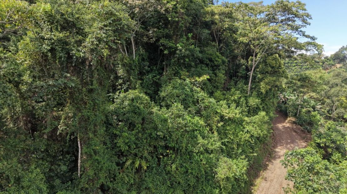 Costa Rica Real Estate
