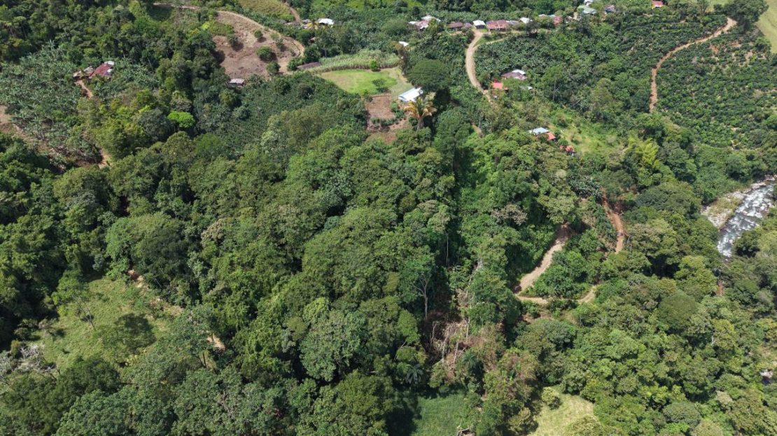 Land for Sale in San Francisco de Rivas: 4-Acre Jungle Parcel Near Chirripó National Park
