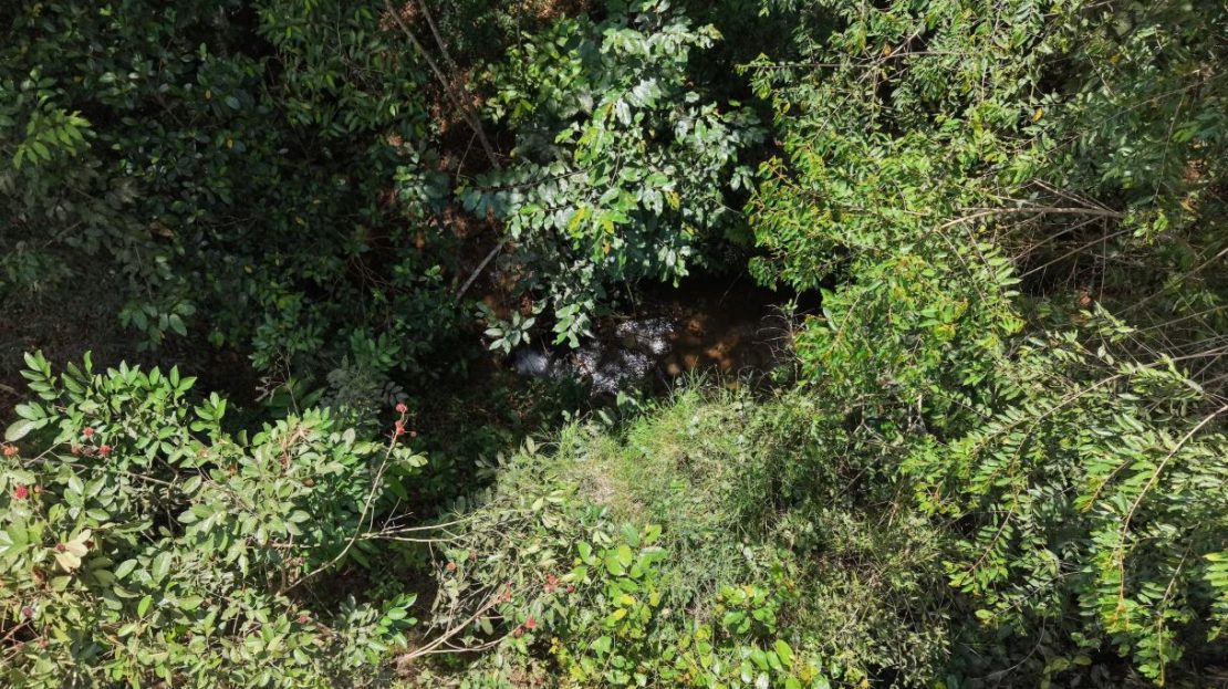Land for Sale in San Francisco de Cajon: 14