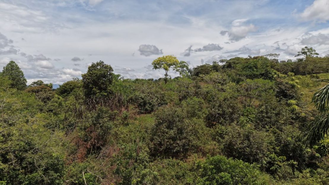 Costa Rica Real Estate
