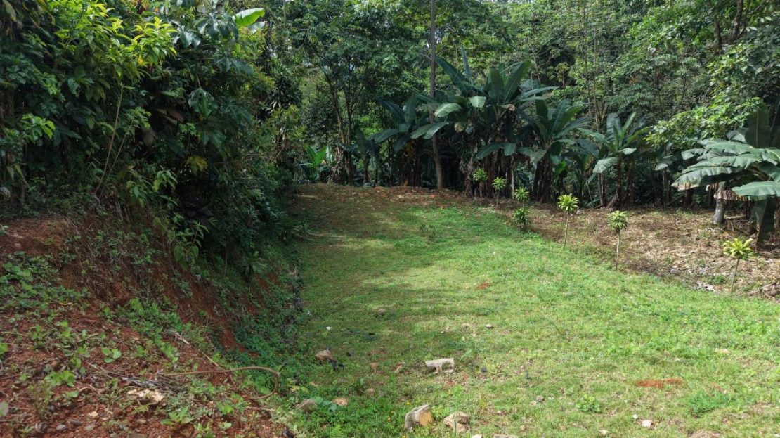 500 m² Lot in San Rafael Norte