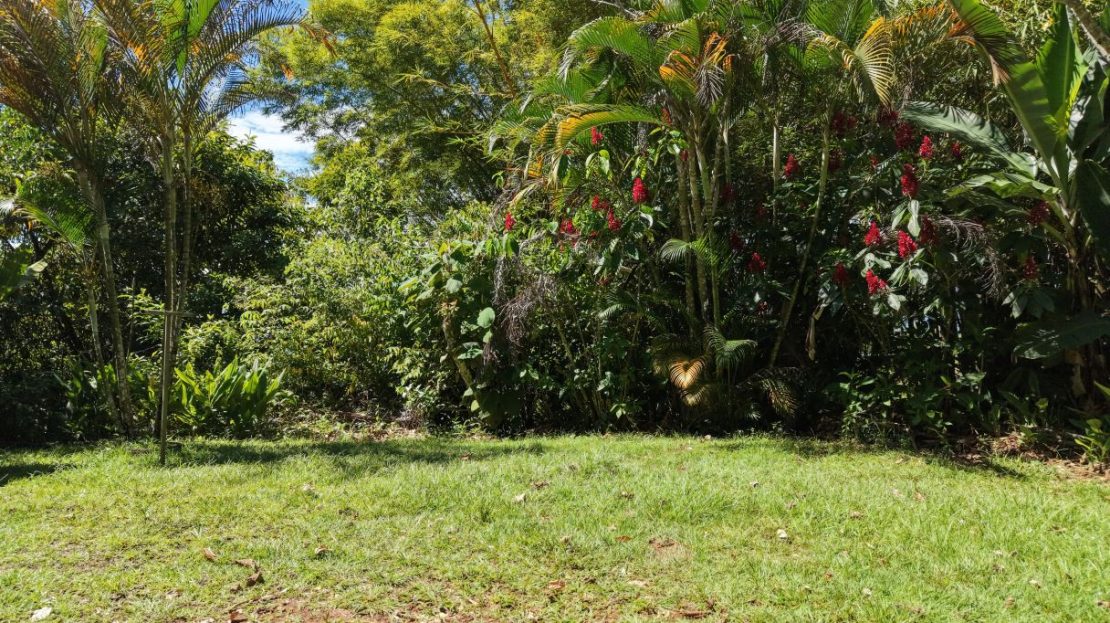 Pérez Zeledón — Active Income & Tourism Potential