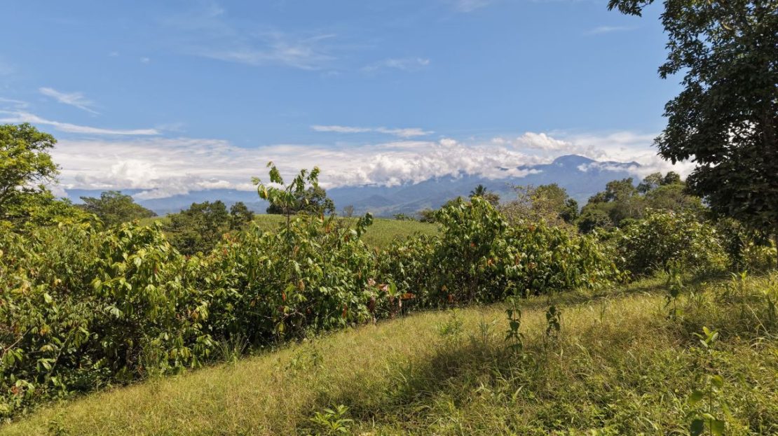 Costa Rica Real Estate
