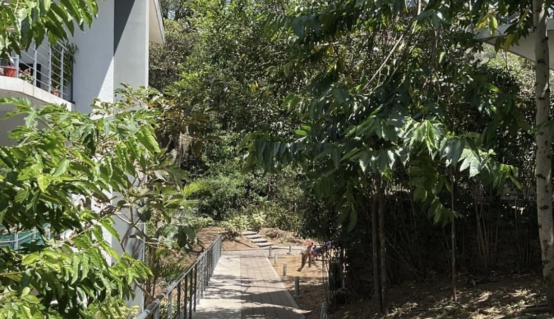 Costa Rica Real Estate