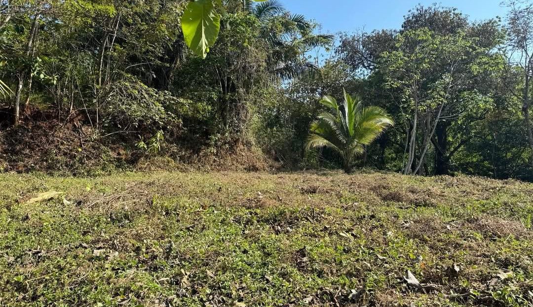 FLAT LOT IN SANTO DOMINGO — 10 MINUTES FROM SÁMARA Guanacaste | REMAX