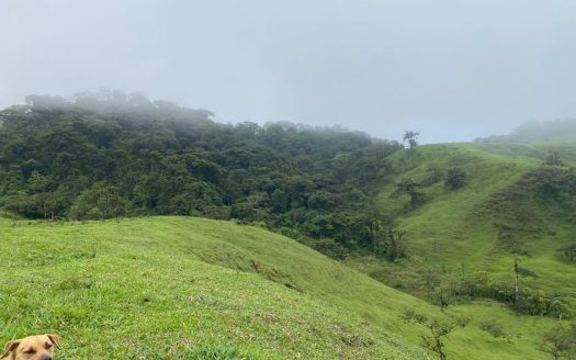 997-Hectare Estate with Primary Forest, Cattle Ranching and Abundant Natural Resources – San Ramón, Alajuela, Costa Rica