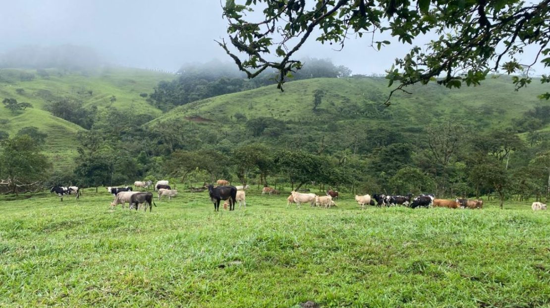 Costa Rica Real Estate