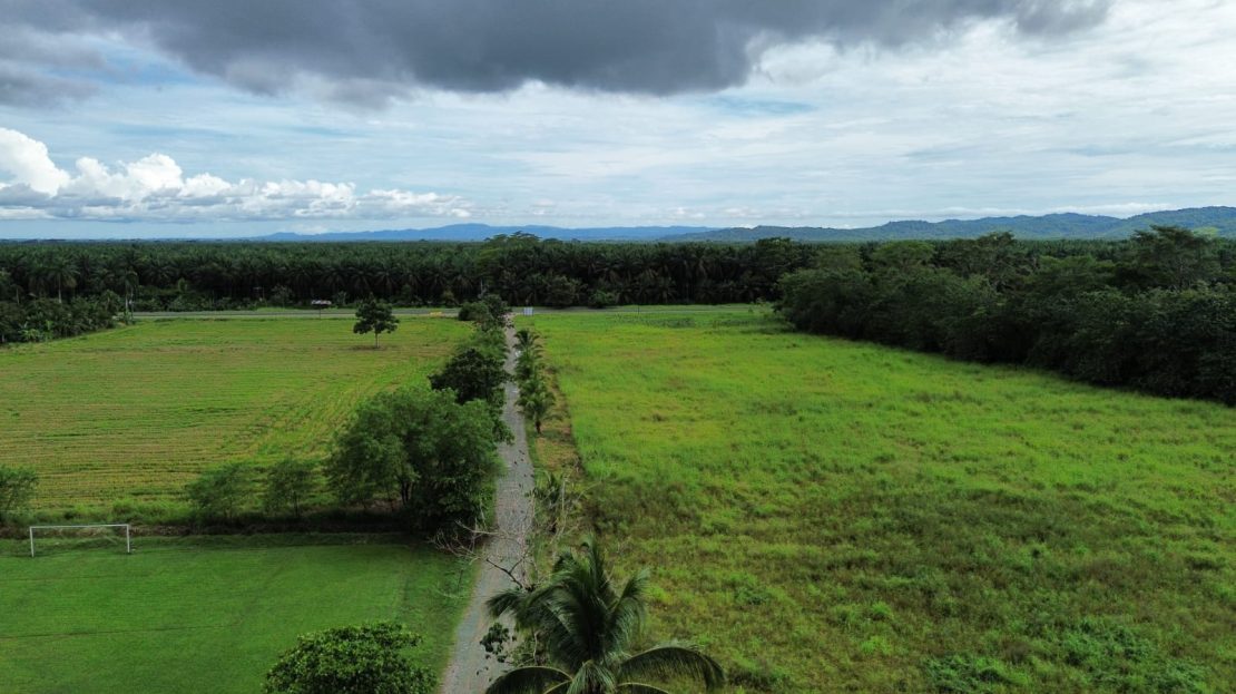Golfito>Guaycará Real Estate Listings 32624