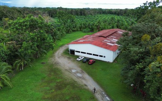 High-Potential Commercial Warehouse Near Río Claro | 7,900 m² Lot