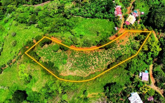 7,392 m² Mountain View Land with Utilities in Platanares, Pérez Zeledón