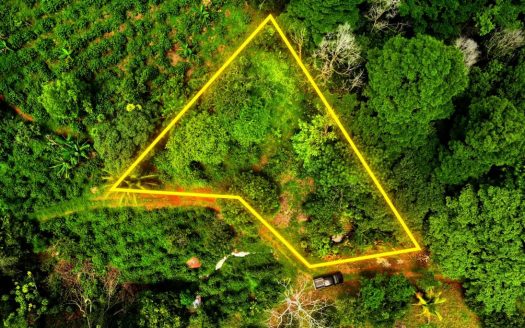 Secluded Lot For Sale – Nature, Privacy & Convenience In Pérez Zeledón