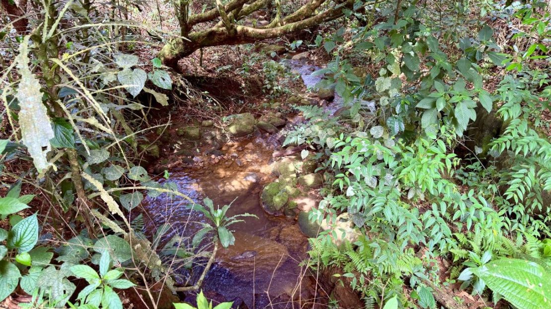 Streams & Financing Available