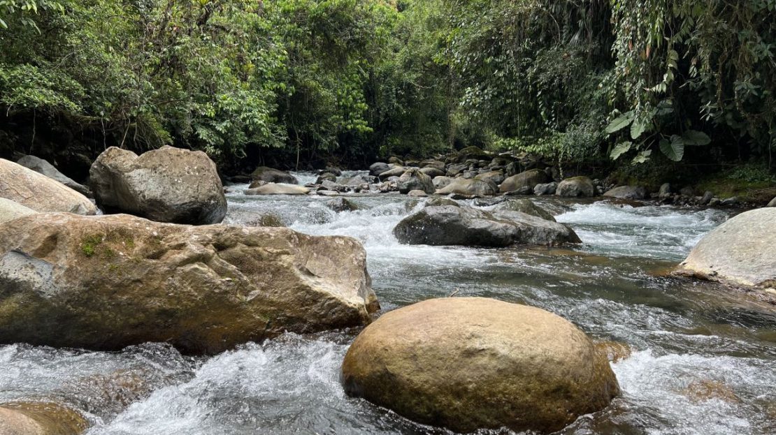 Property for Sale in Santa Elena Perez Zeledon close to RISE: 1.23-Acre Riverfront Parcel with Peñas Blancas River Access