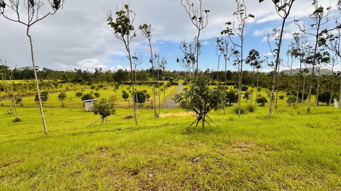 Costa Rica Real Estate