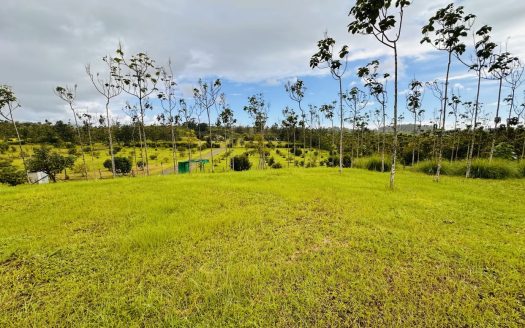 Prime 11.3-Acre Property with Subdivision Potential Near Quepos
