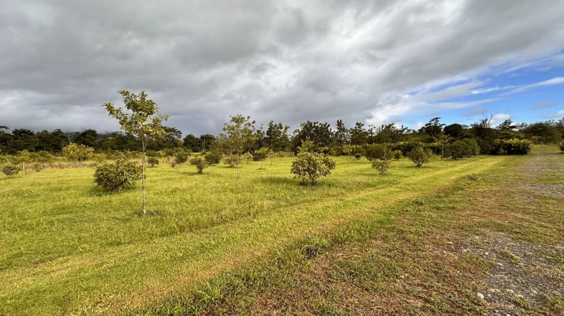 Prime 11.3-Acre Property with Subdivision Potential Near Quepos